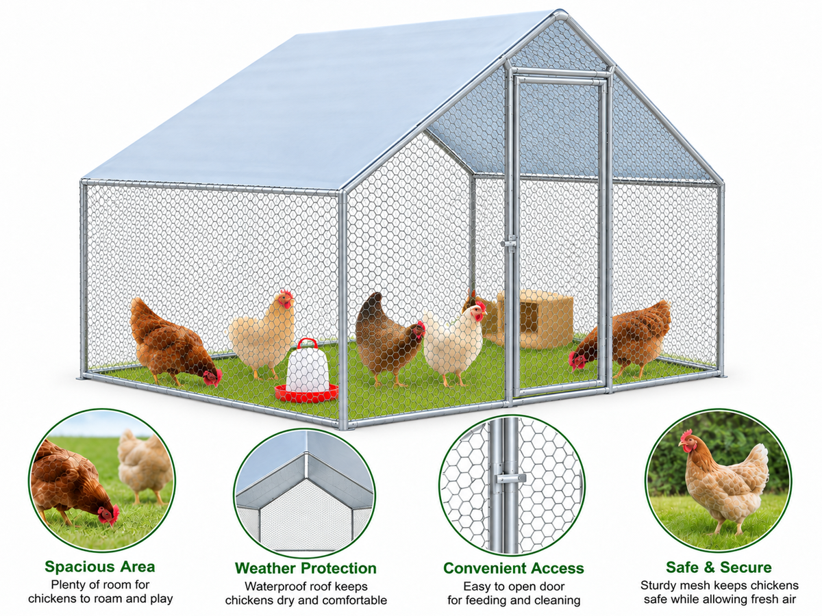 Outdoor Chicken Run with Roof Cover
