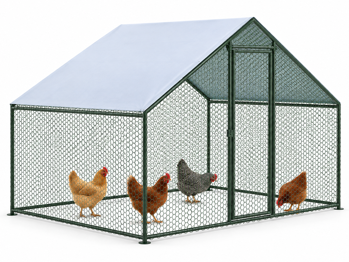 Outdoor Chicken Run with Roof Cover