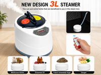 Thumbnail for Steam Sauna with Red Light Therapy