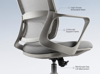 Thumbnail for Ergonomic Office Chair