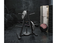 Thumbnail for Weight Plate Storage Rack