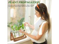 Thumbnail for Glass Plant Terrarium