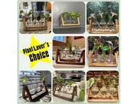 Thumbnail for Glass Plant Terrarium