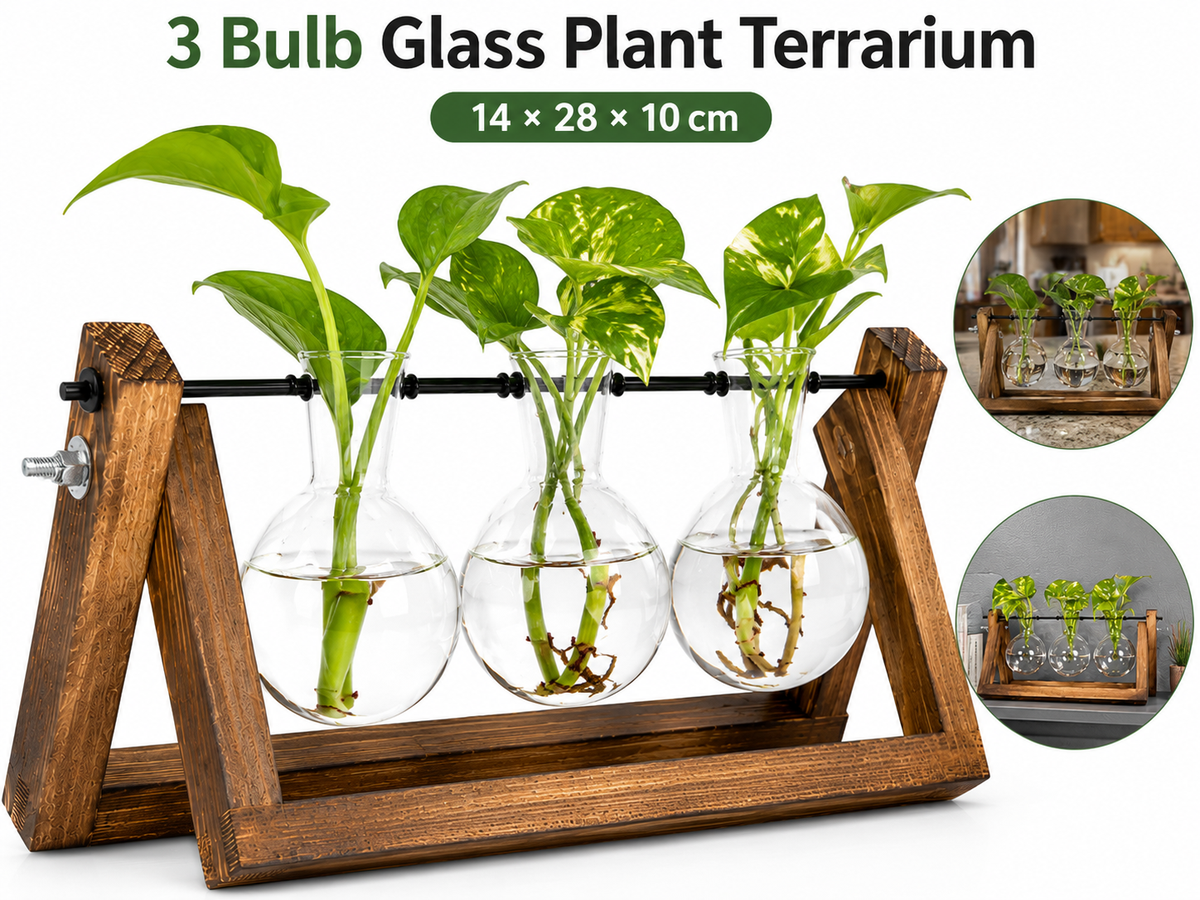 Glass Plant Terrarium