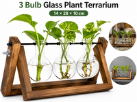 Thumbnail for Glass Plant Terrarium