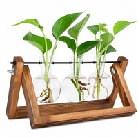 Thumbnail for Glass Plant Terrarium