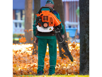 Thumbnail for Backpack Leaf Blower