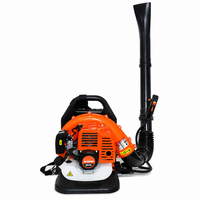 Thumbnail for Backpack Leaf Blower