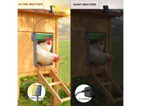 Thumbnail for Automatic chicken coop door