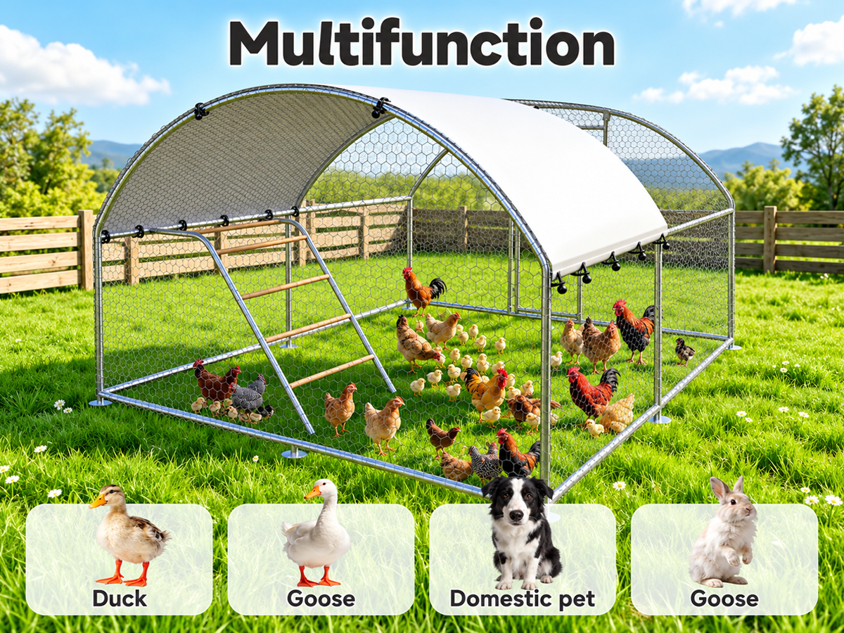 Large Chicken Coop Run