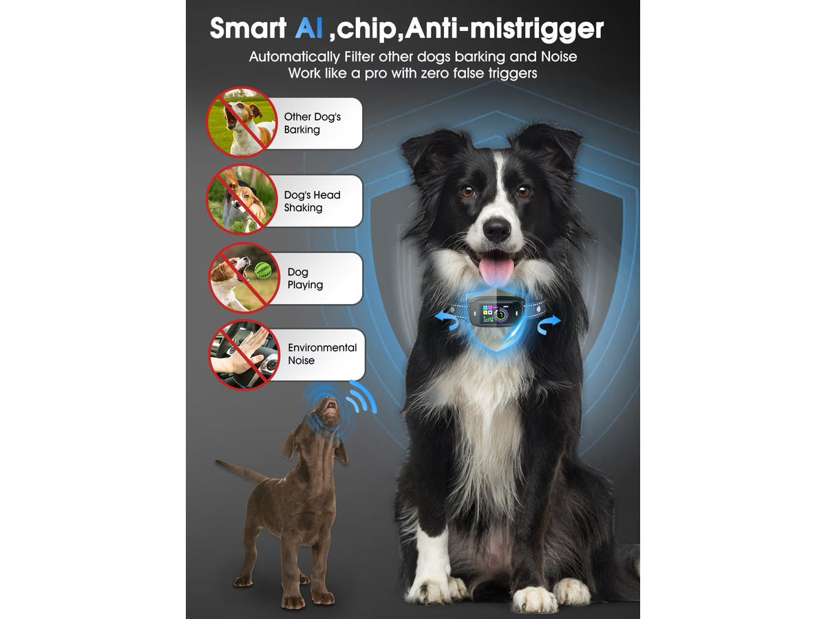 Smart Bark Control Training Collar