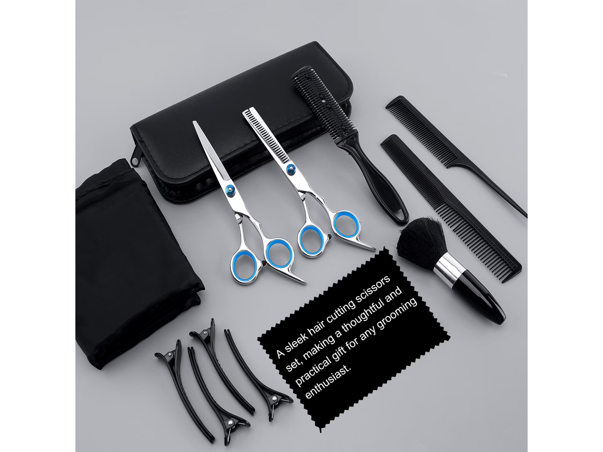 Professional Hair Scissors Kit