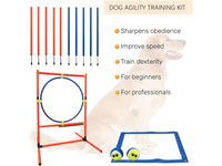 Thumbnail for Dog Agility Training Equipment Set