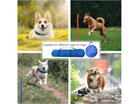 Thumbnail for Dog Agility Training Equipment Set