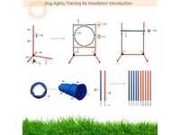 Thumbnail for Dog Agility Training Equipment Set