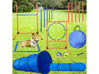 Thumbnail for Dog Agility Training Equipment Set