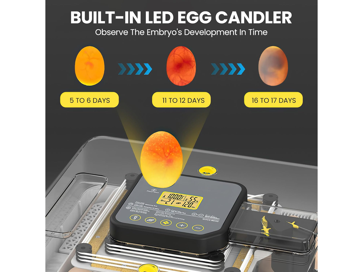 Automatic 48 Egg Incubator