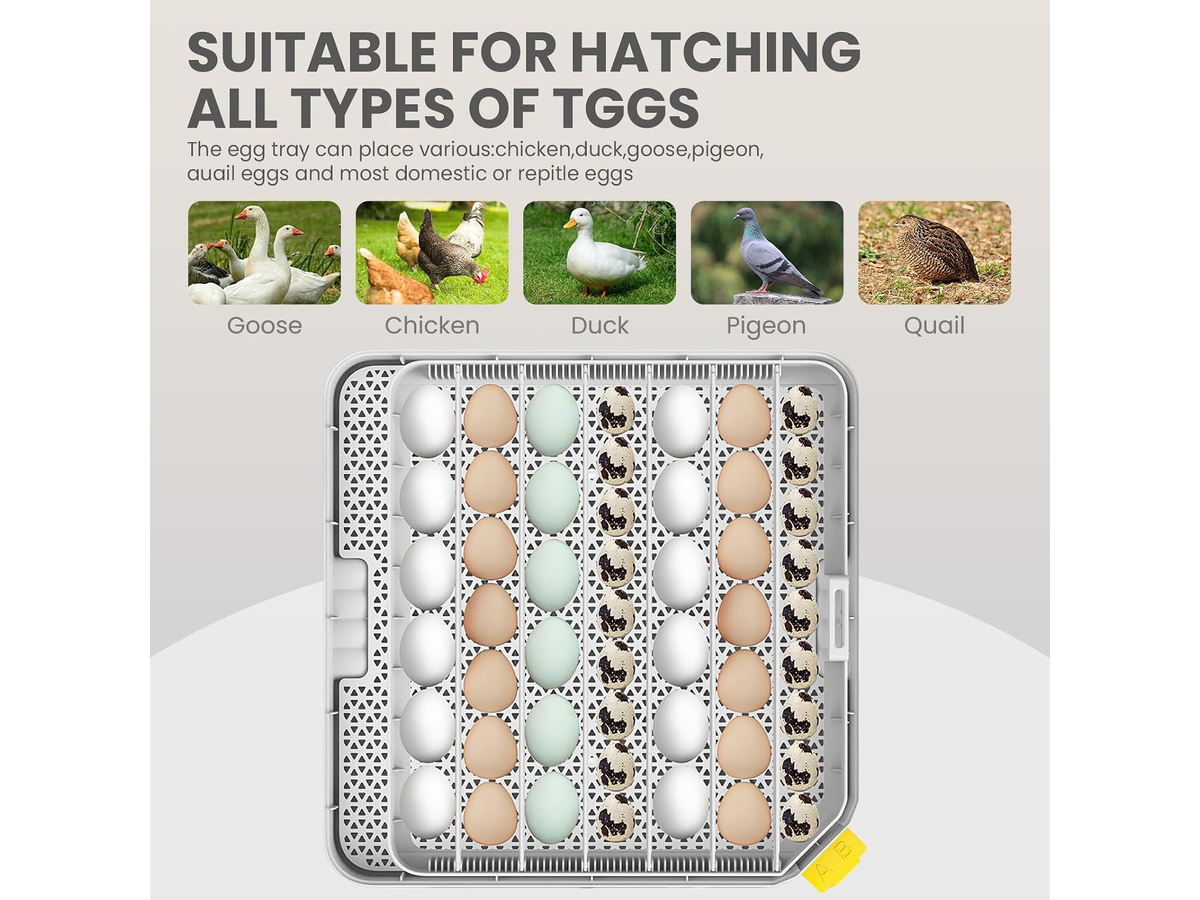 Automatic 48 Egg Incubator