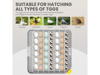 Thumbnail for Automatic 48 Egg Incubator