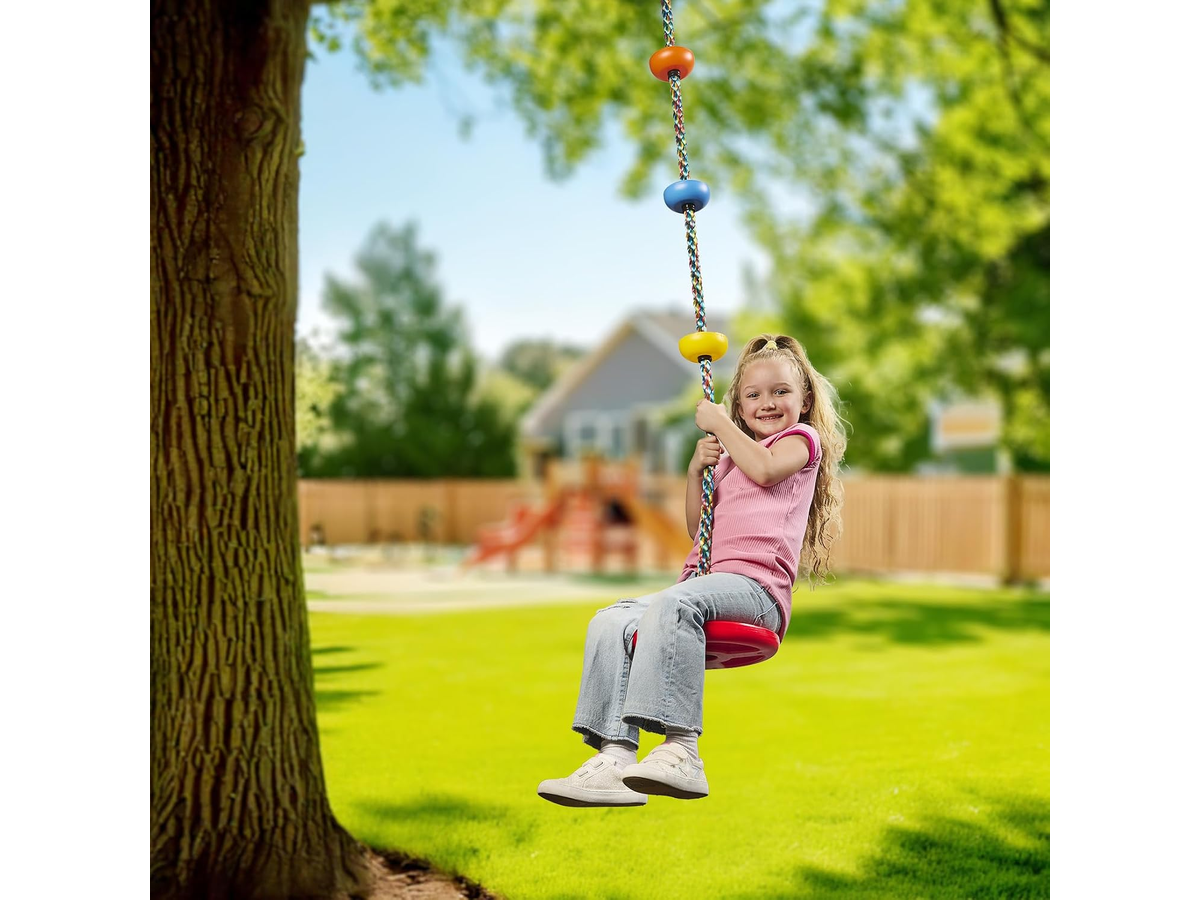 Tree Swing Set with Disc
