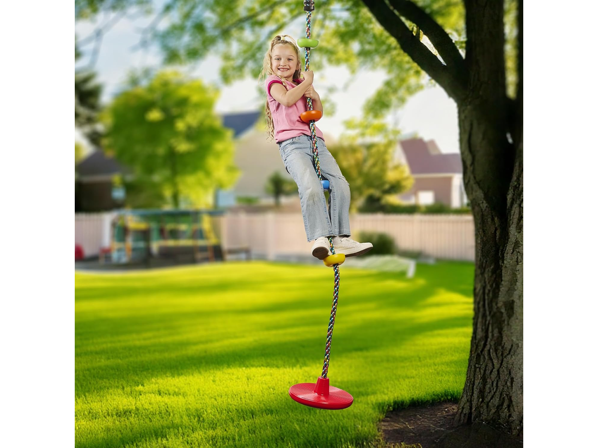 Tree Swing Set with Disc