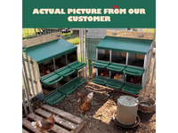 Thumbnail for Chicken Nesting Box With 6 nests