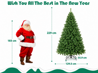 Thumbnail for Christmas Tree