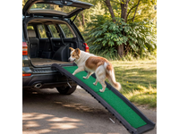 Thumbnail for Dog Ramp