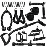 Thumbnail for LAT Pulldown Attachments Set