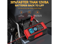 Thumbnail for Car Battery Charger