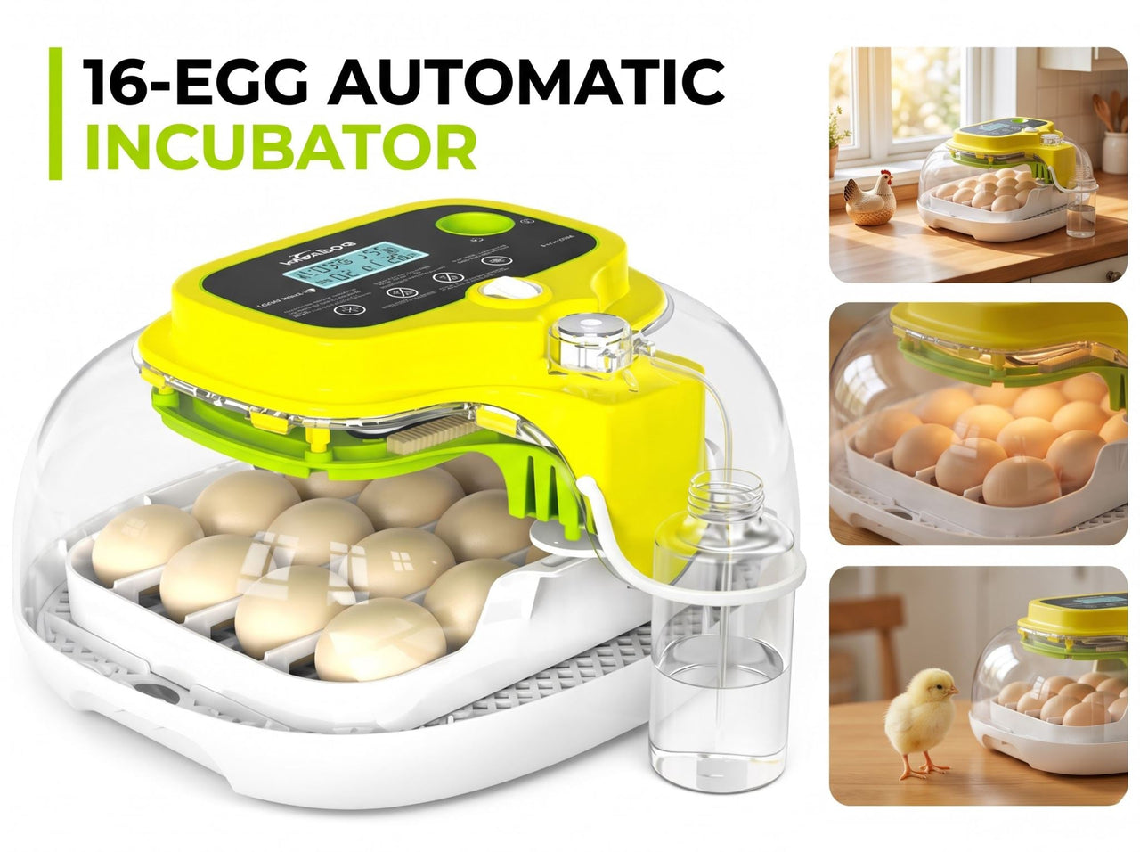 Automatic Egg Incubator