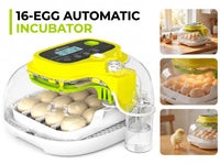 Thumbnail for Automatic Egg Incubator