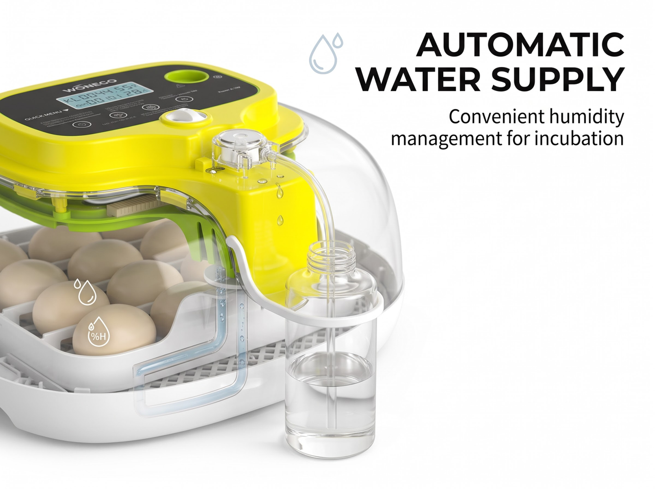 Automatic Egg Incubator
