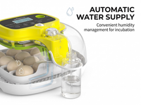 Thumbnail for Automatic Egg Incubator