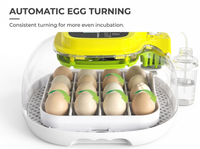 Thumbnail for Automatic Egg Incubator