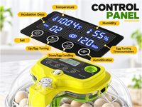 Thumbnail for Automatic Egg Incubator