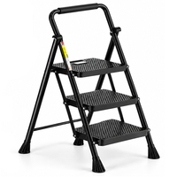 Thumbnail for Folding Step Ladder