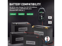 Thumbnail for Trickle Battery Charger