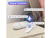 Thumbnail for Google Chromecast Remote Voice Replacement Control