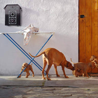 Thumbnail for Dog Bark Control 50FT Range Stop Barking Device