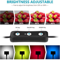 Thumbnail for 2-Pack Dimmable 5600K USB LED Video Light with Adjustable Tripod Stand - The Shopsite