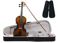 Thumbnail for Full-size 4/4 Violin with Carrying Case Nature - The Shopsite