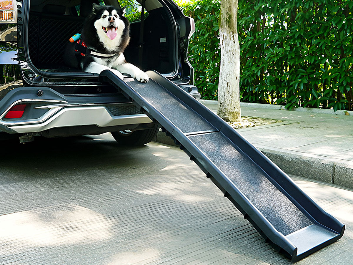 Pet Ramp Dog Ramp Foldable