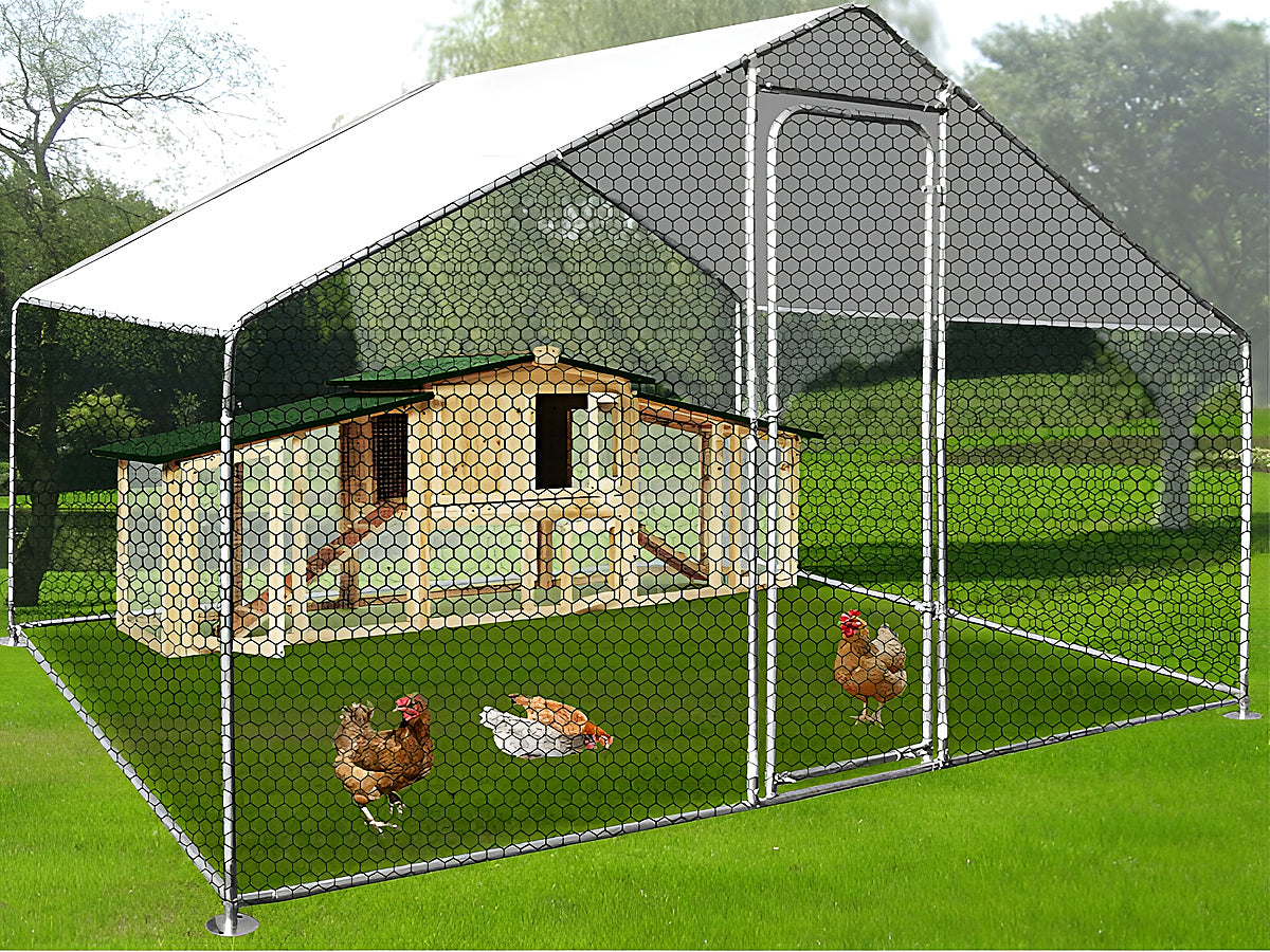 Outdoor Chicken coop 3Mx2M