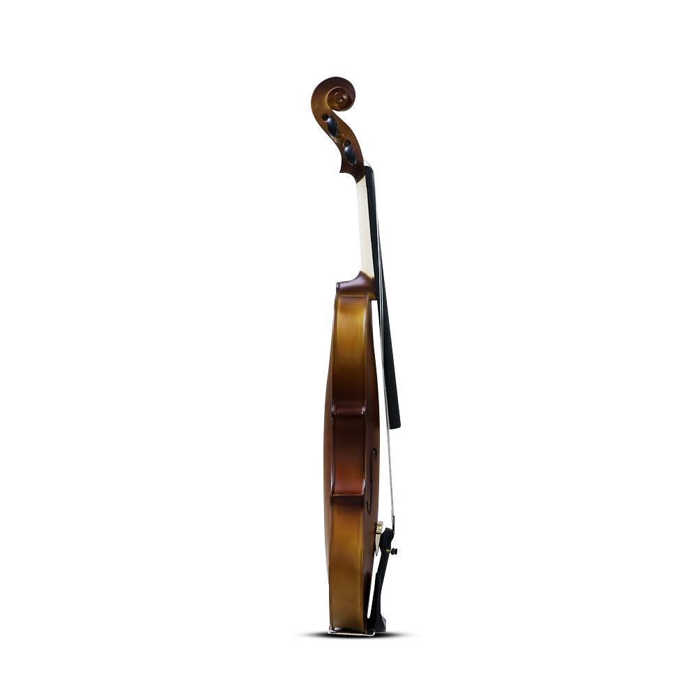 Violin Full Size 4/4
