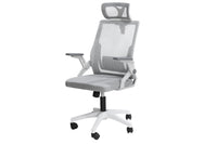 Thumbnail for Office chair lumbar support detail