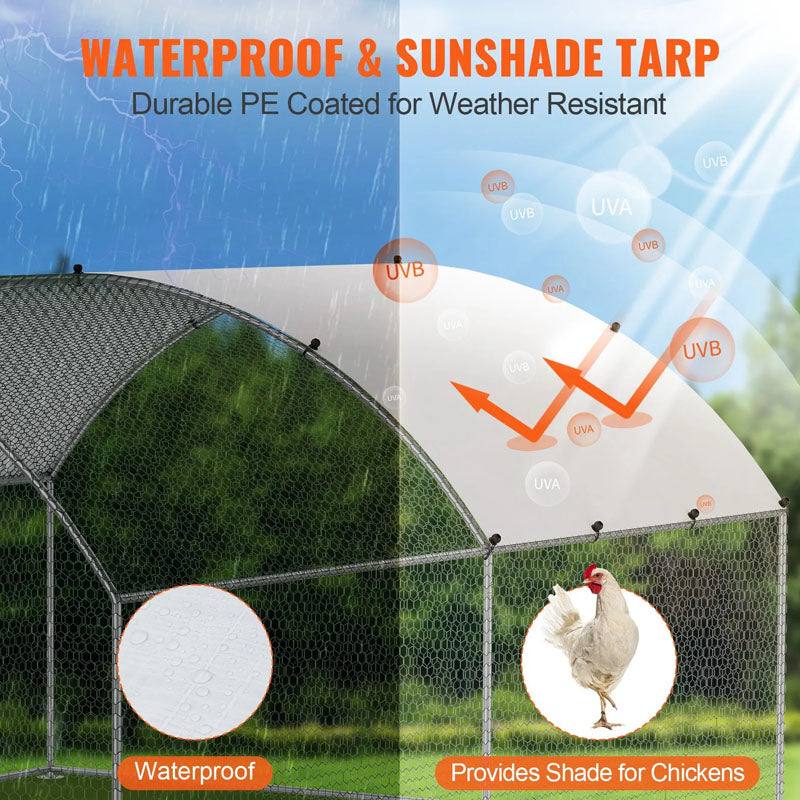 Outdoor Chicken Coop