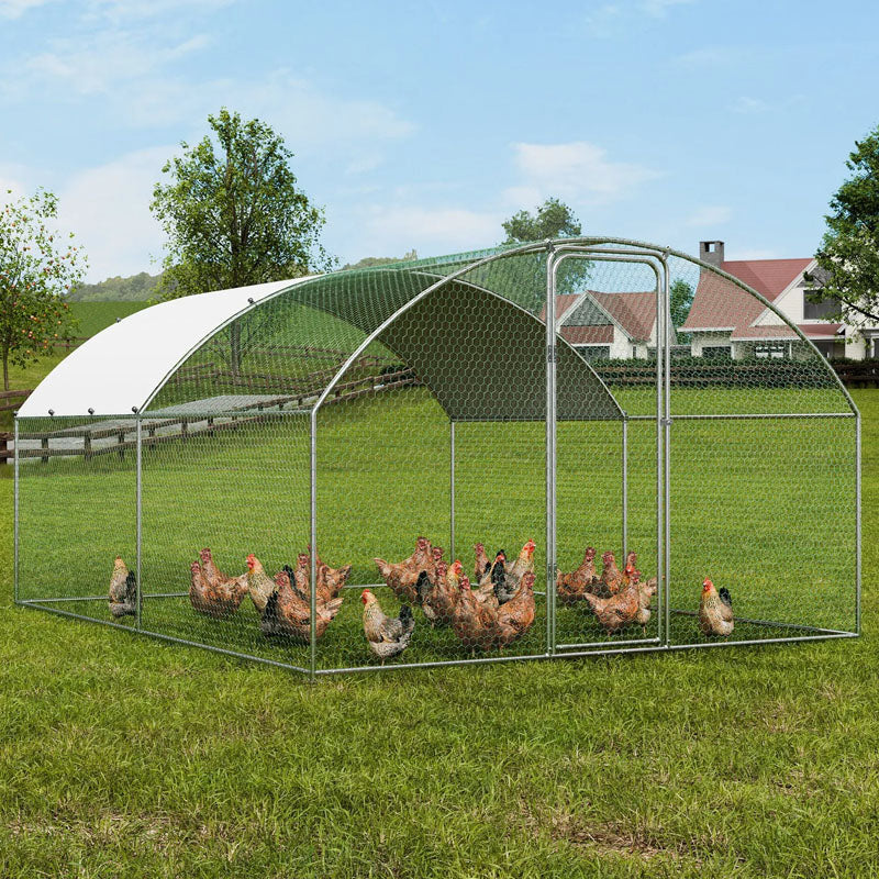 Outdoor Chicken Coop