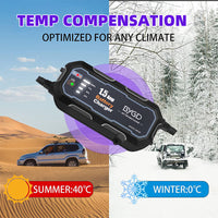 Thumbnail for BYGD Car Battery Charger
