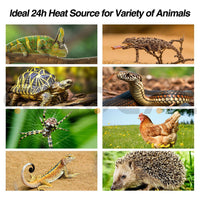 Thumbnail for Reptile Light Ceramic Heat Lamp 100W